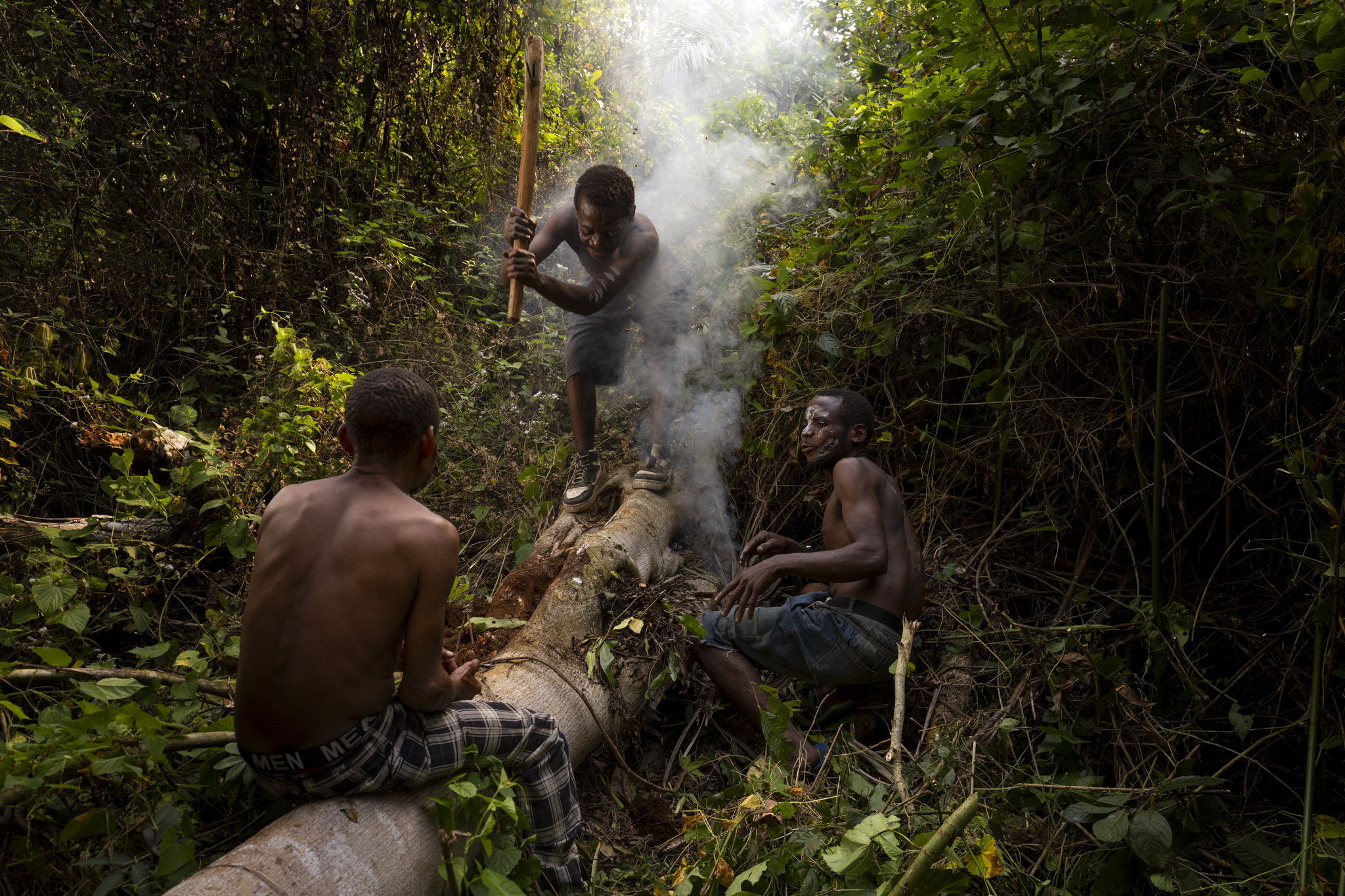 environnement 
