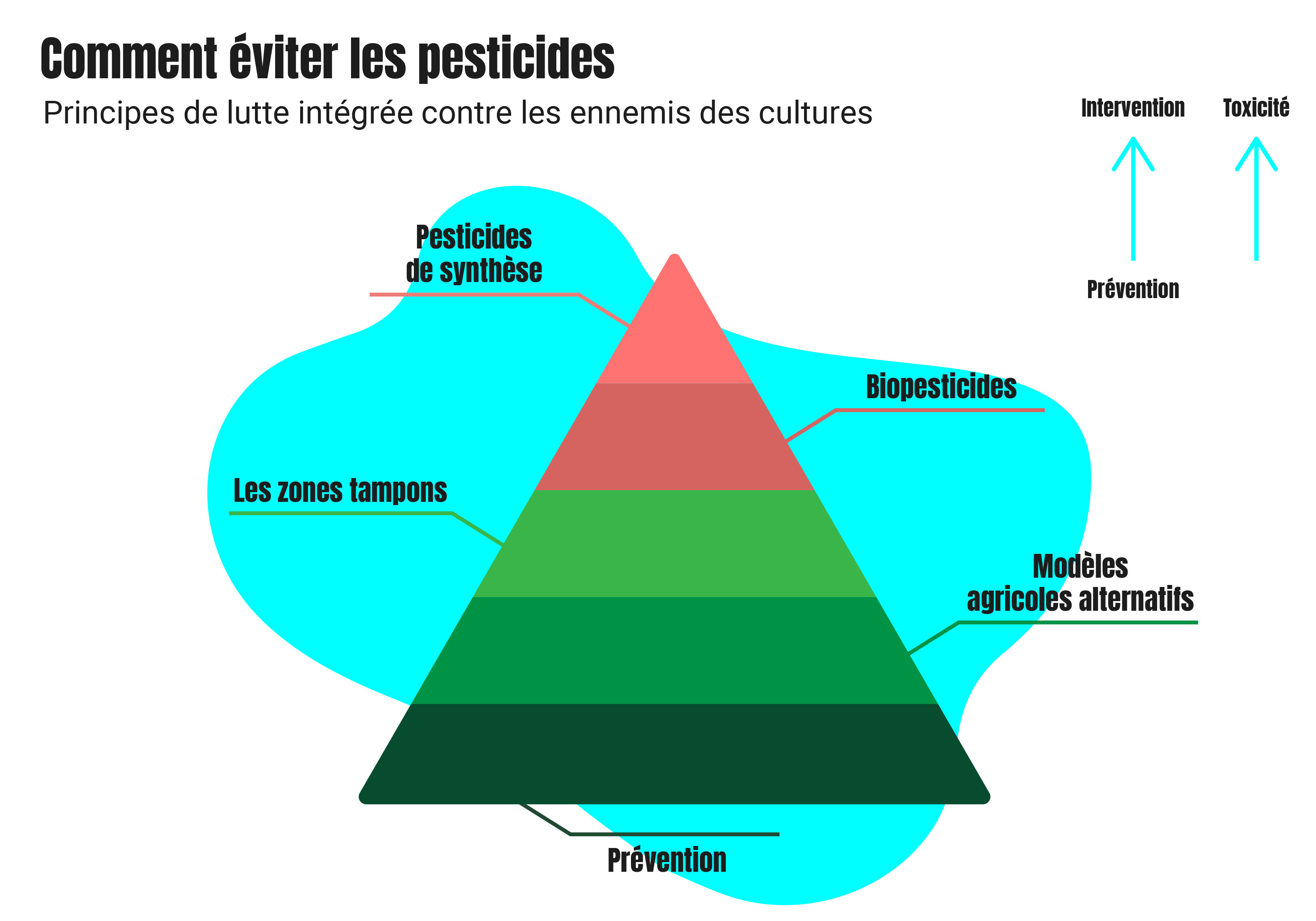 pyramide solution pour éviter pesticides