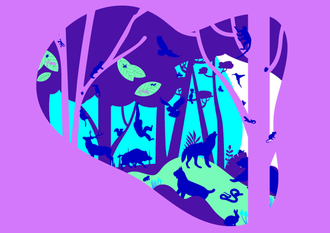 biodiversité
