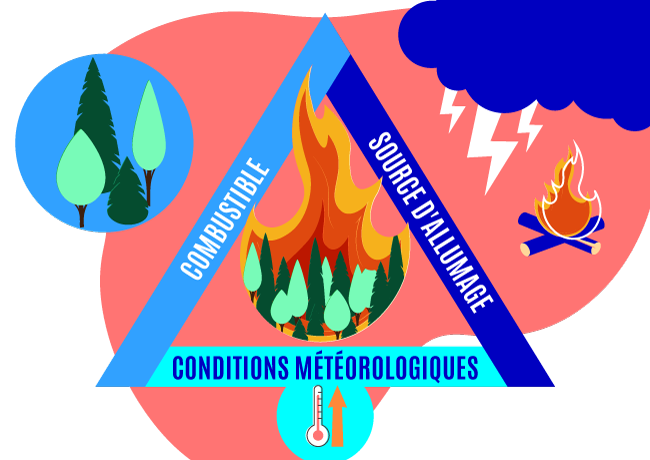 triangle de feu