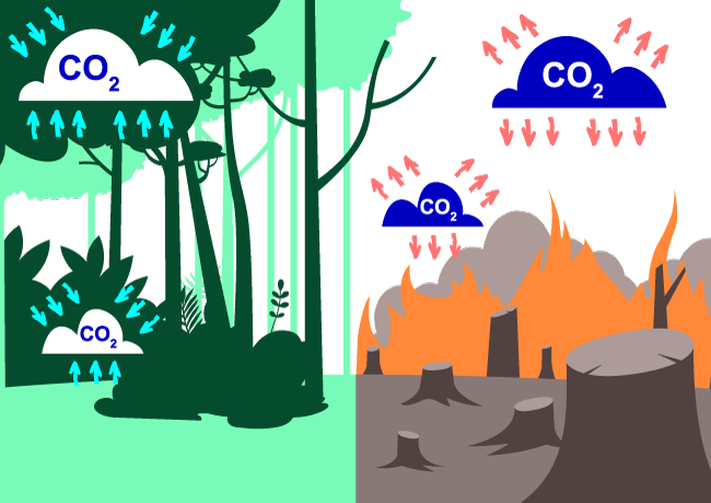 carbone
