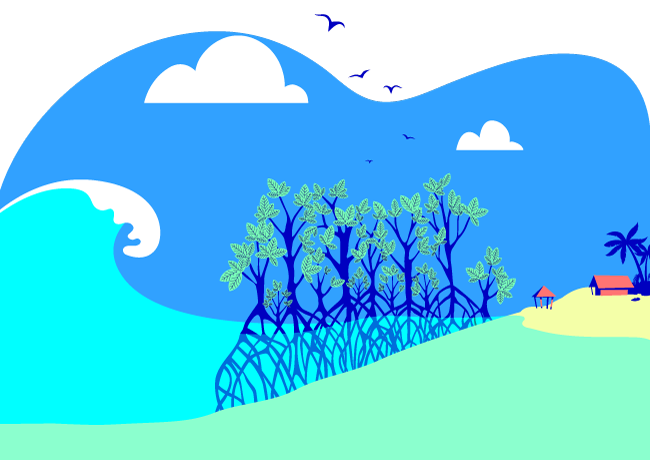 mangroves