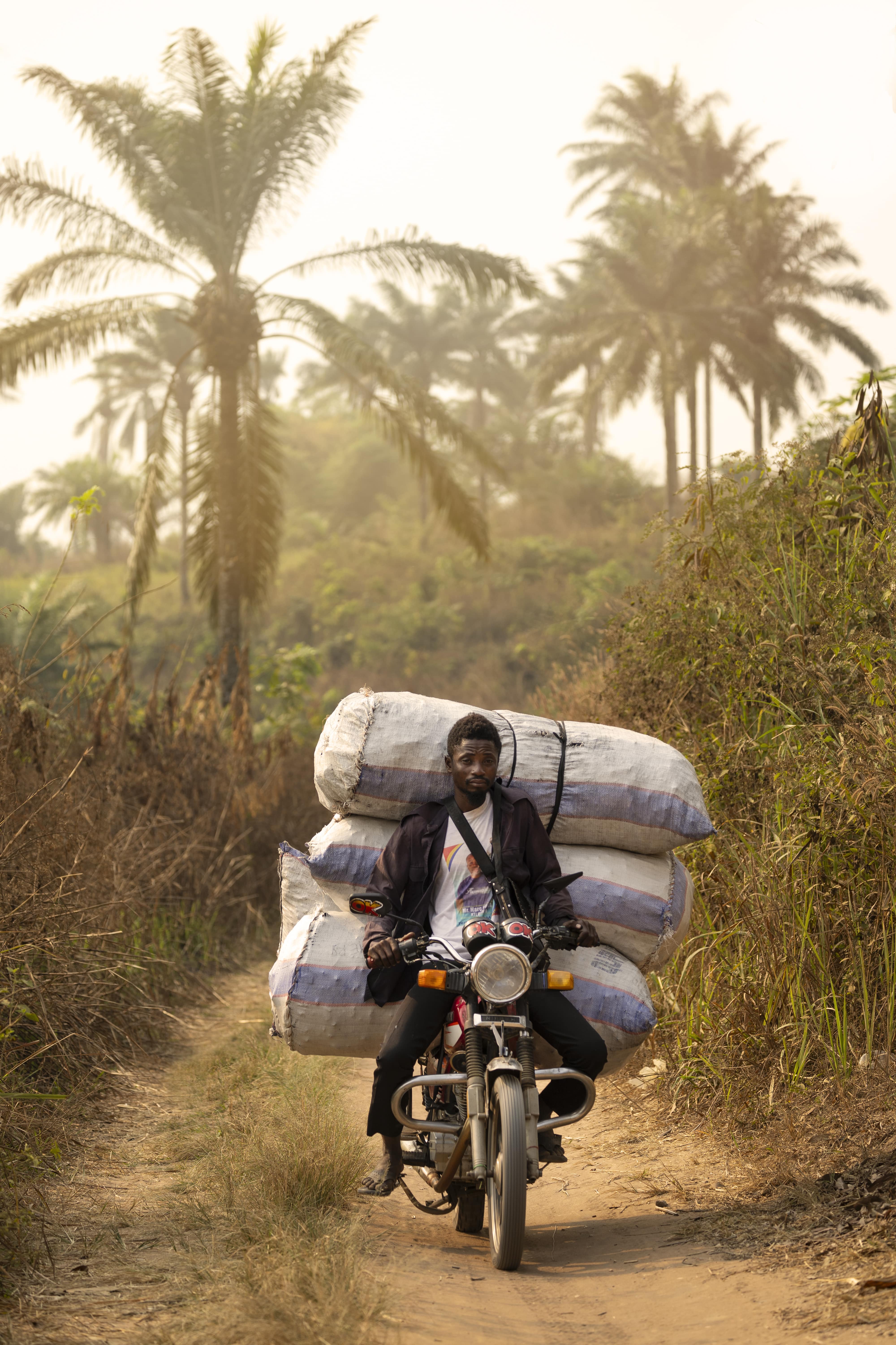 congo charbon de bois