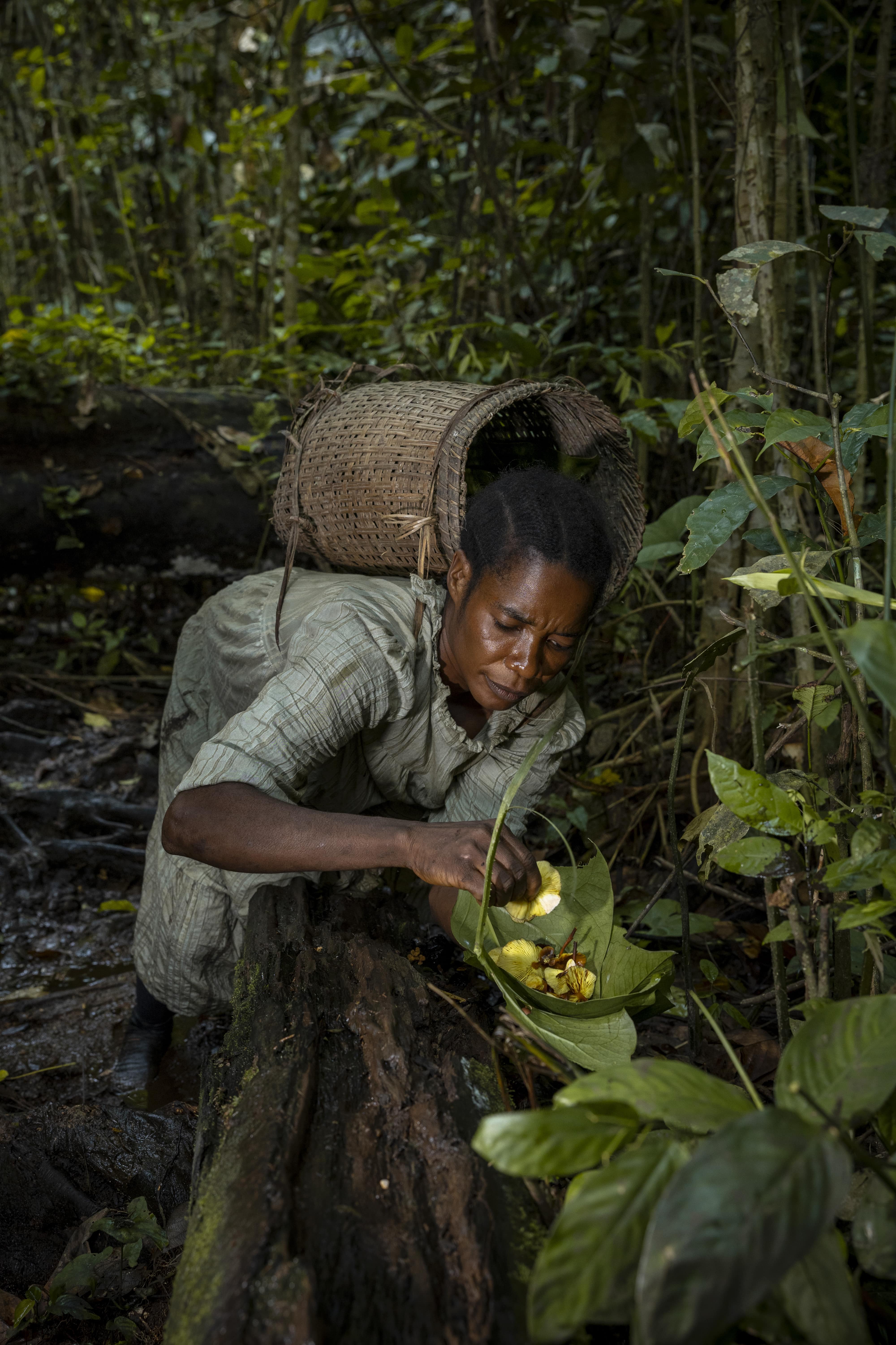 tourbière congo