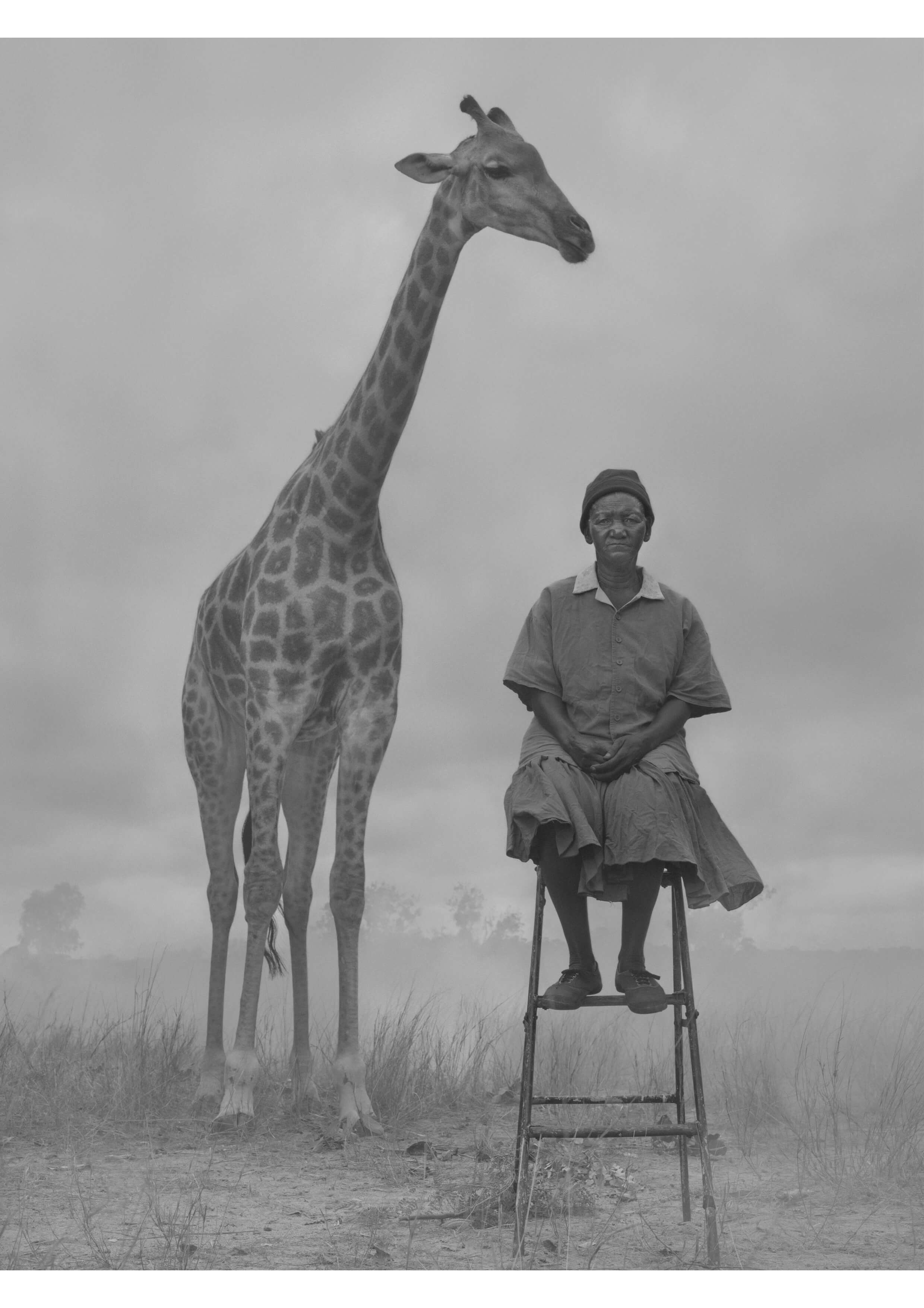 the day may break - nick brandt