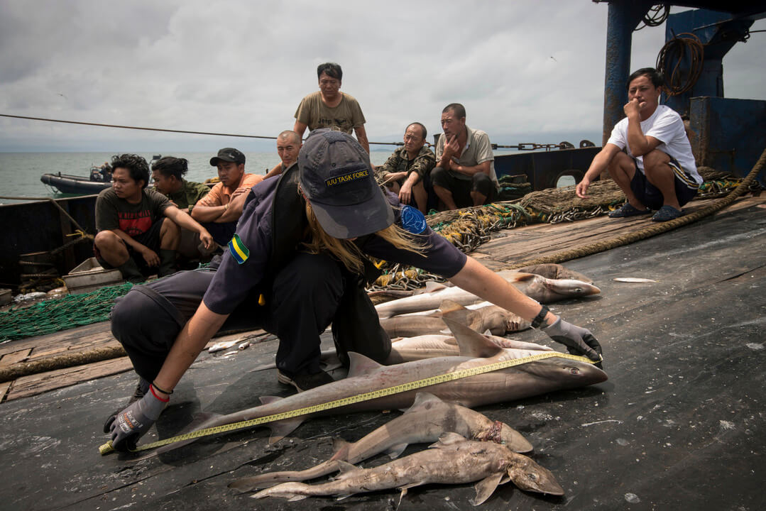 biologiste Sea Sheperd