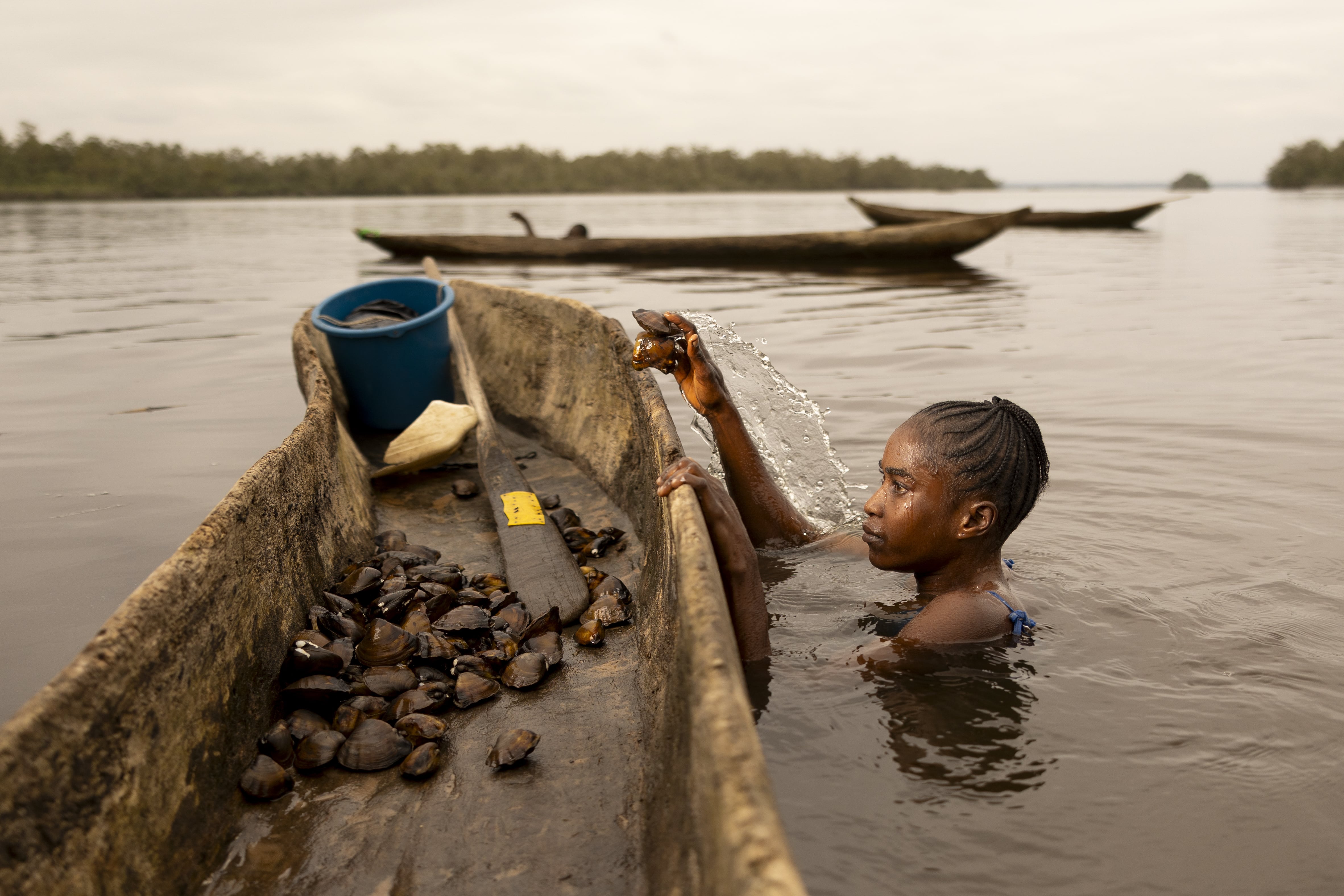 congo reportage mangrove