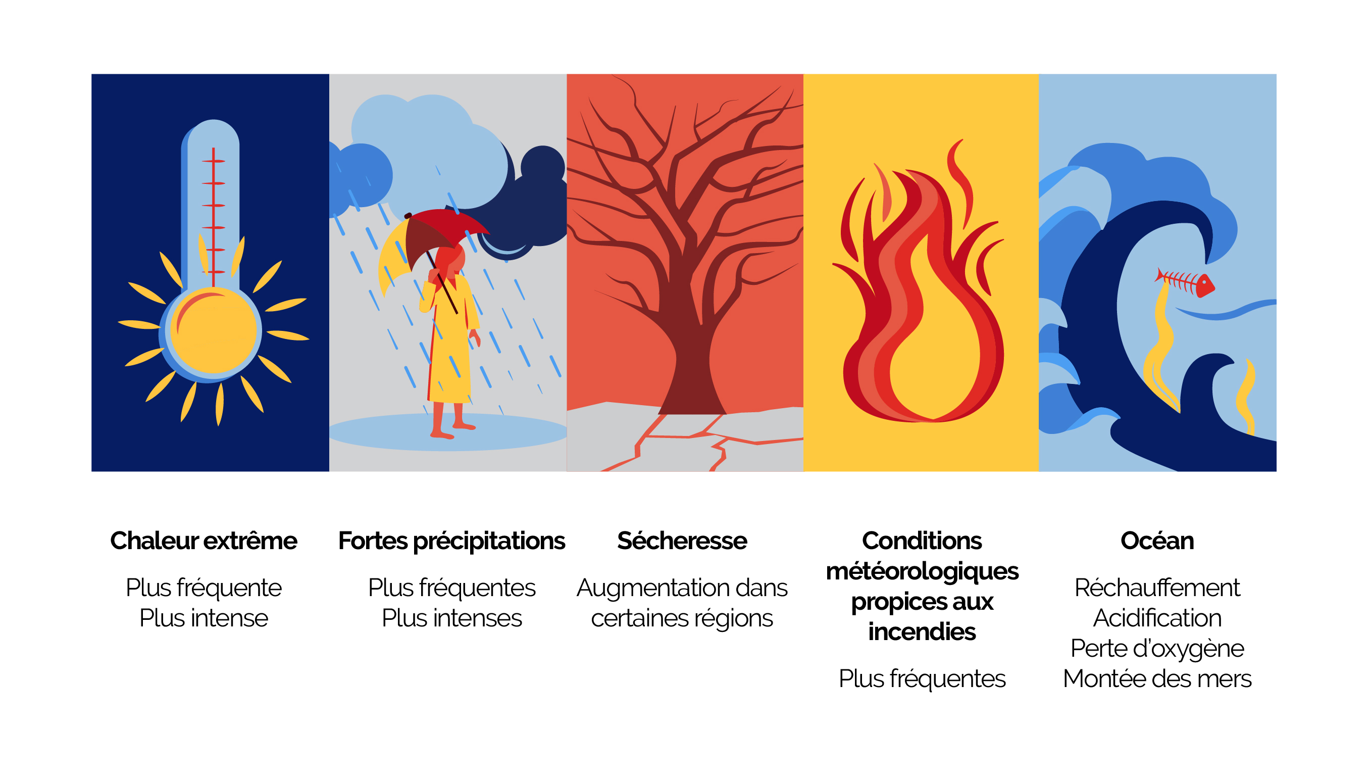 impact dérèglement climatique