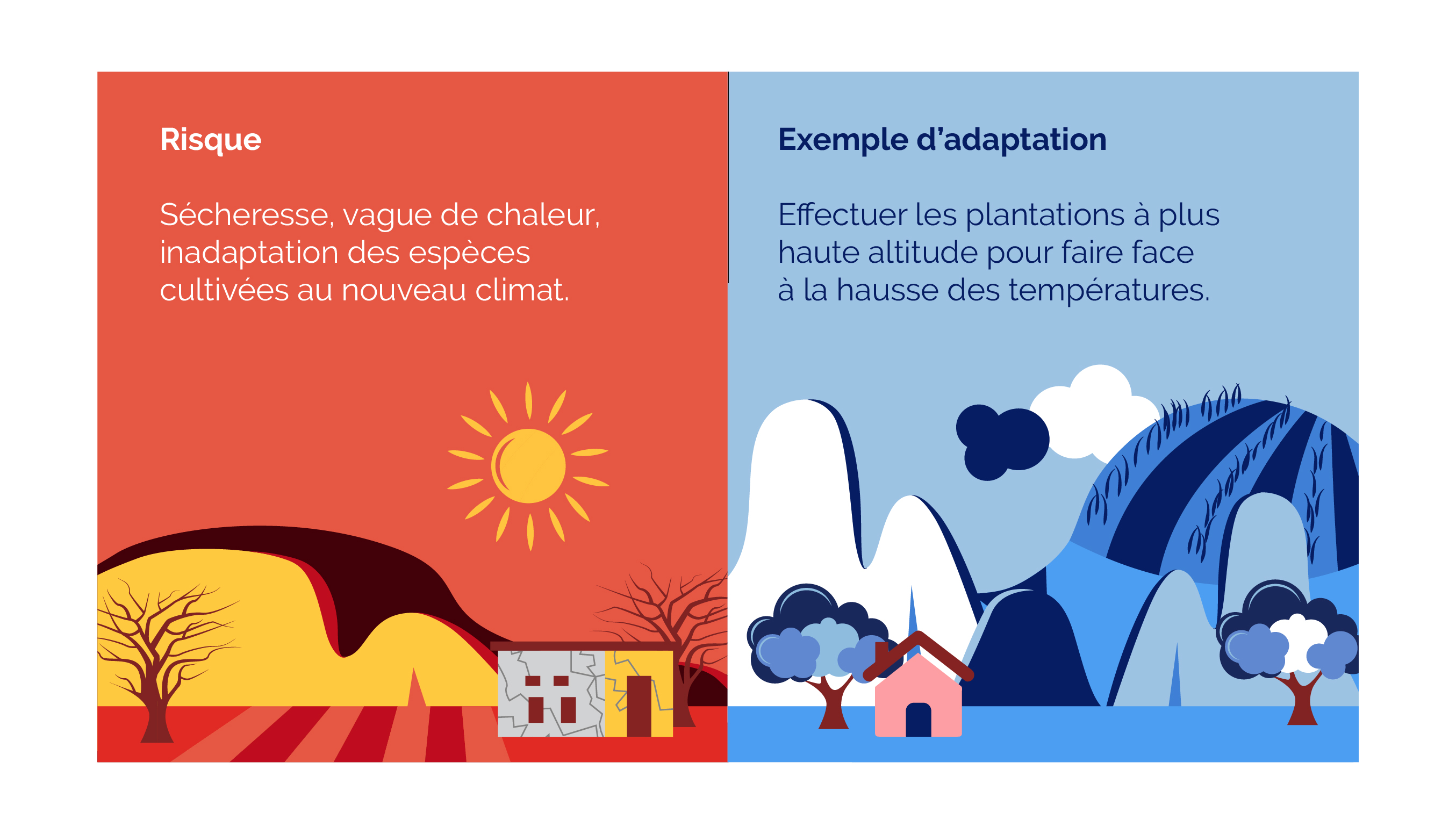 adaptation changement climatique