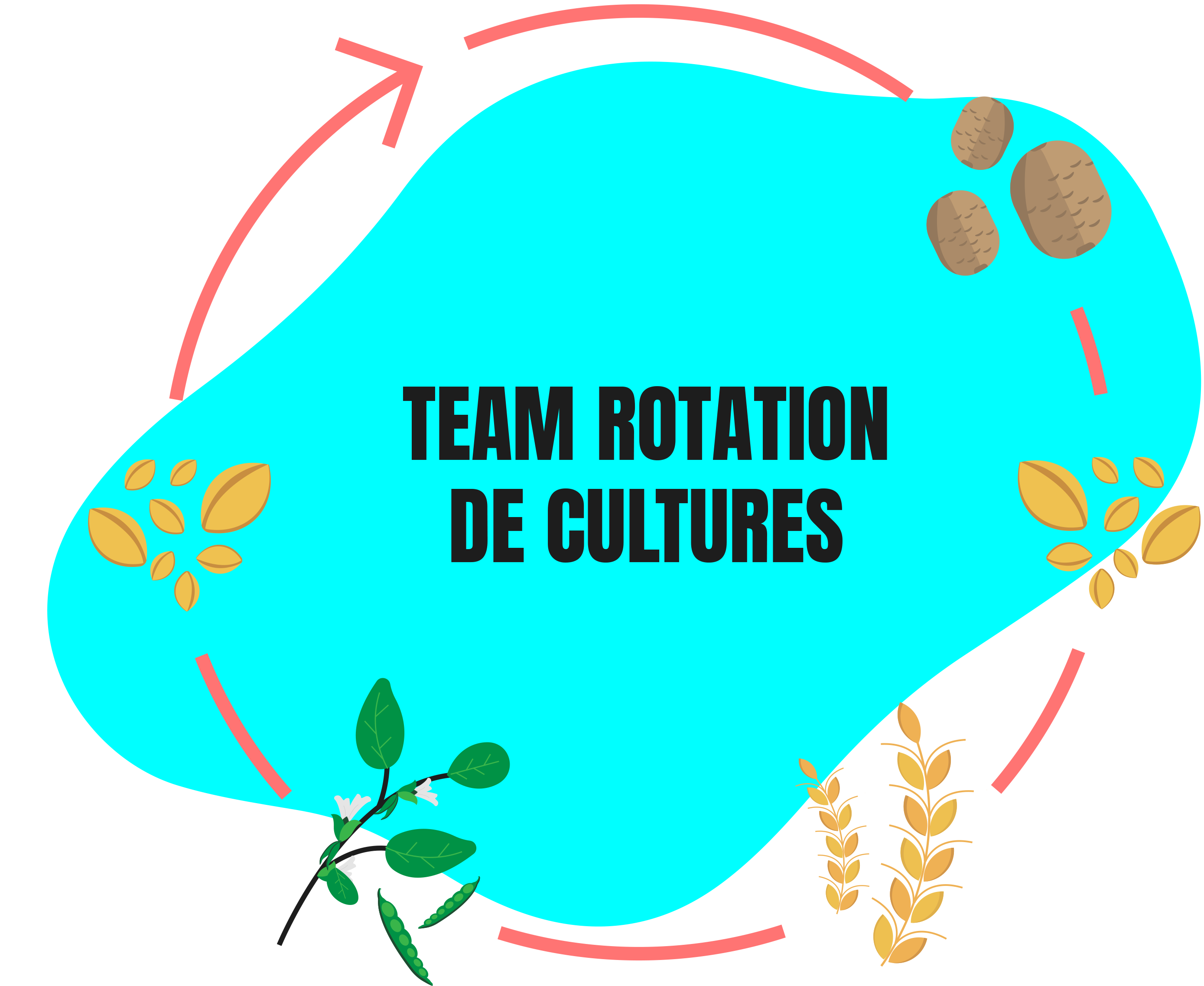 graphique rotation de culture
