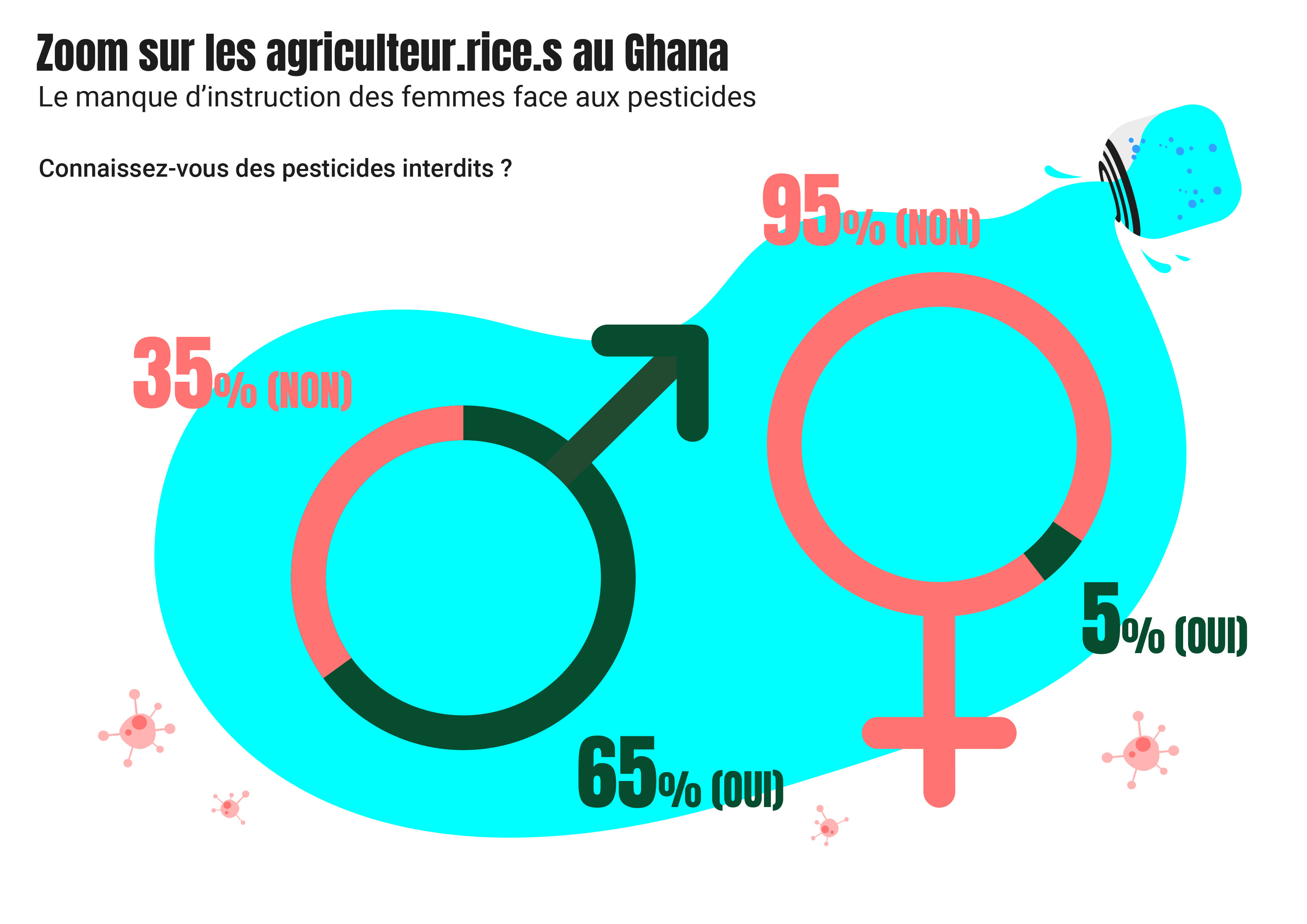 manque instruction femmes Ghana