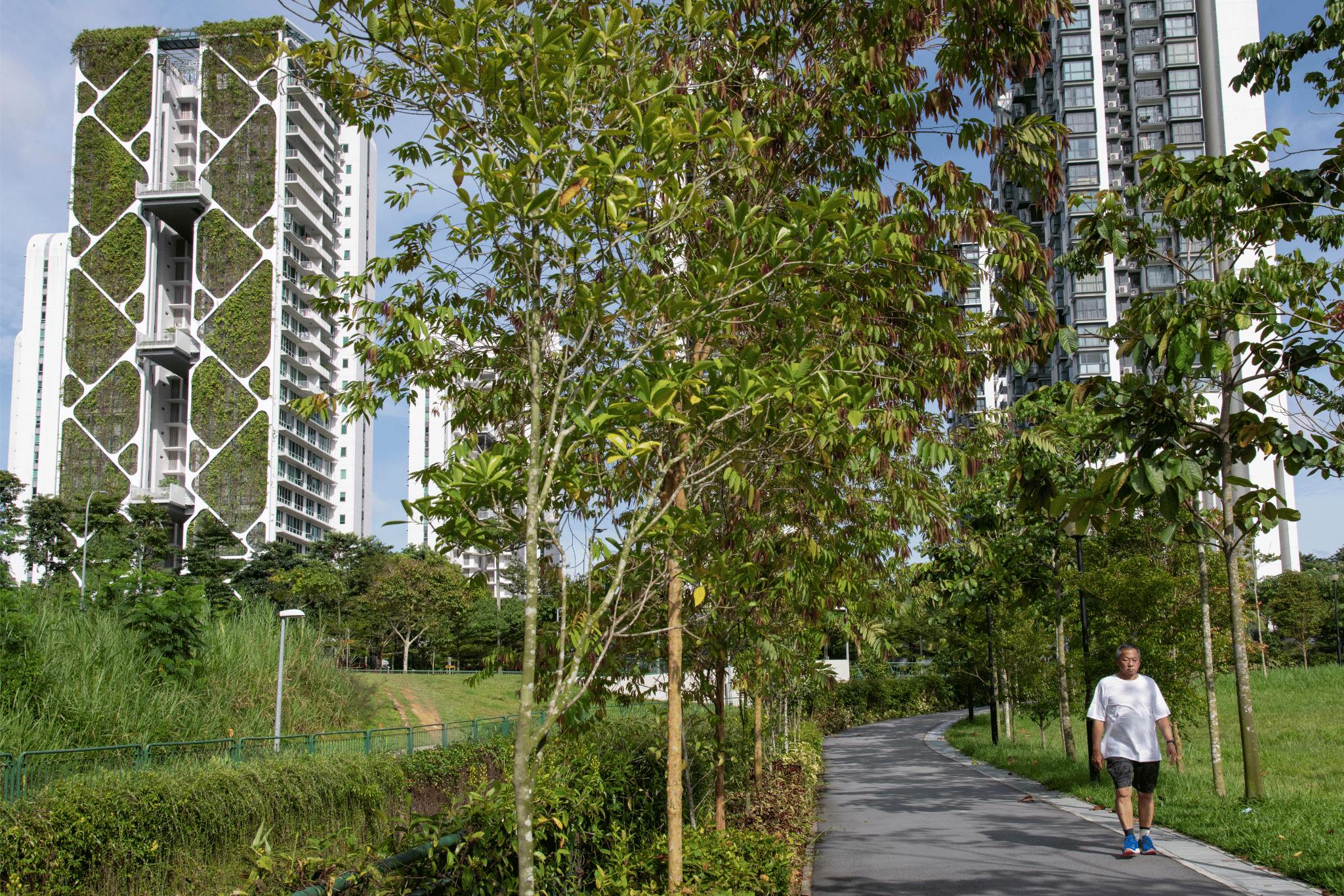 singapour ville végétalisée
