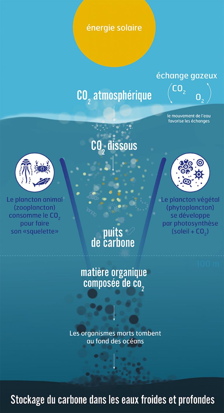 stockage-carbone-eaux-froides-2