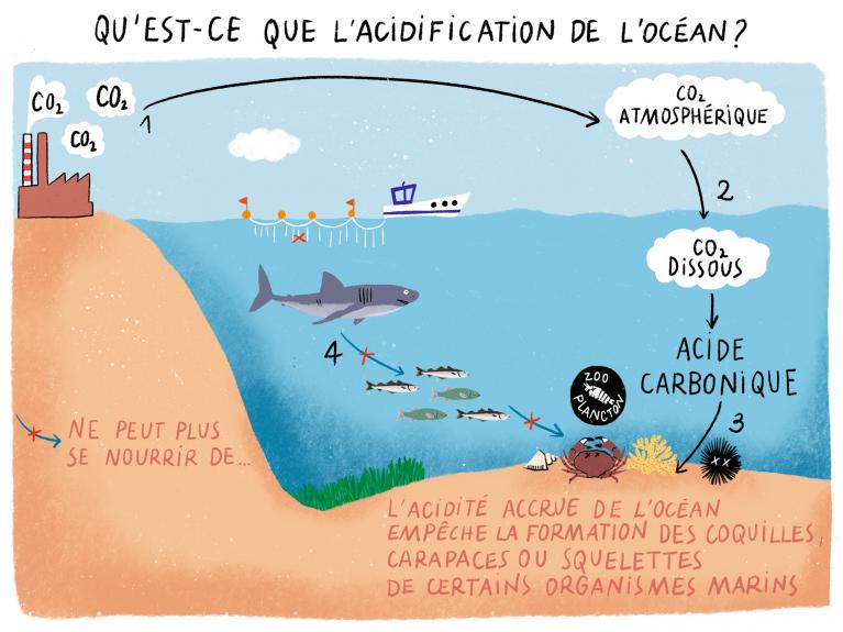 acidification