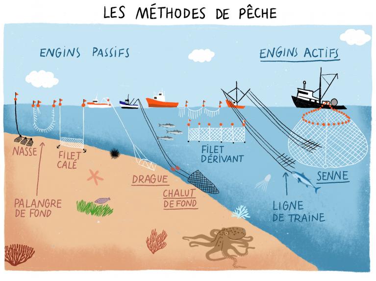 les-methodes-de-pêches-océan-friendly-2