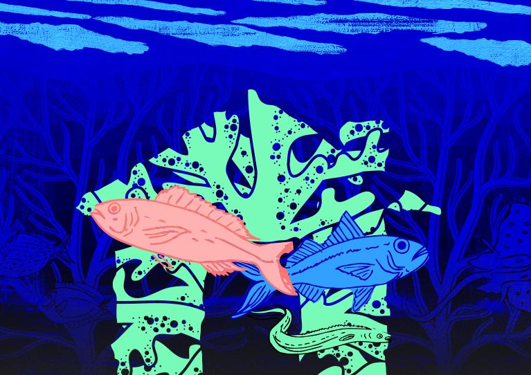 poisson océan