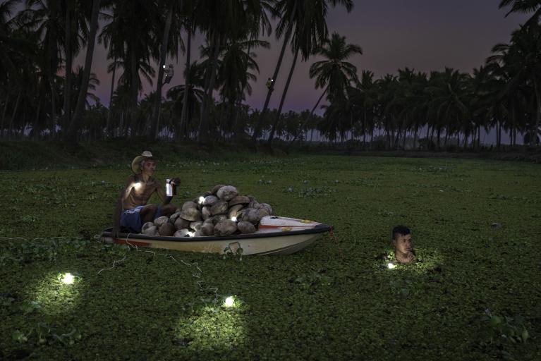 Photographier la naissance de la lumière