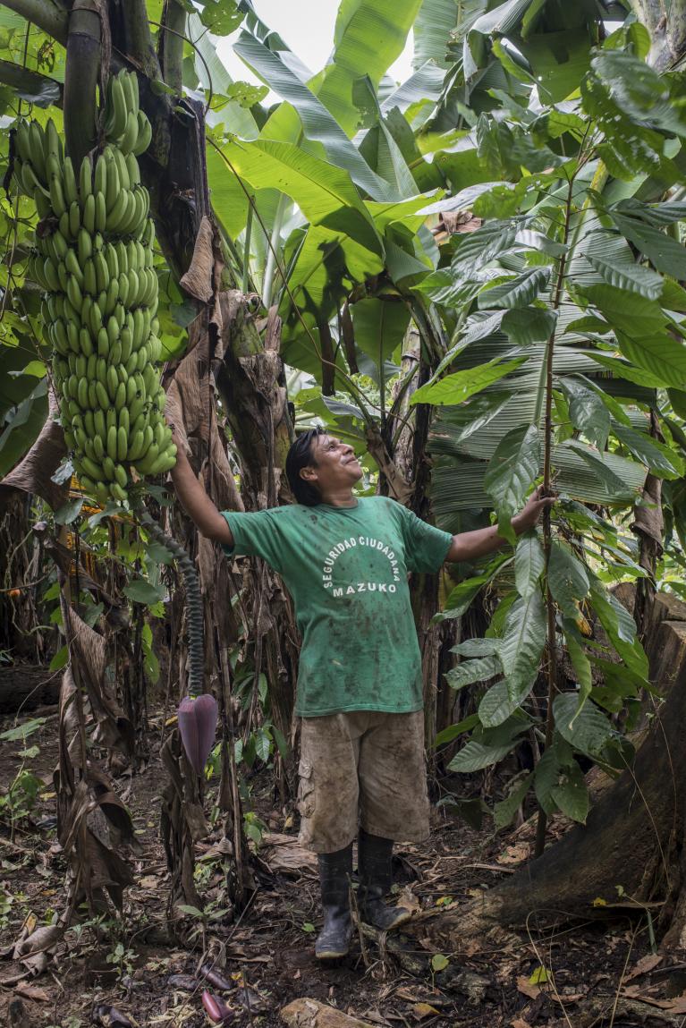 pérou Madre de Dios