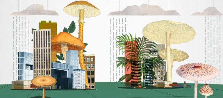 Article background image