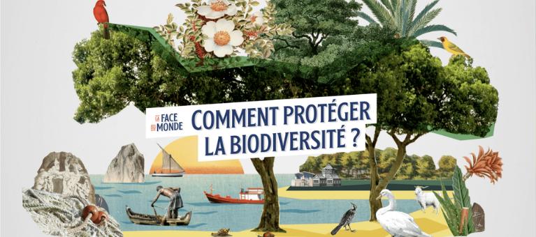 Bandeau Biodiversité desktop Fdm