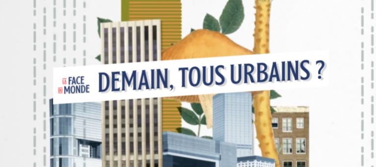 urbanisation la face du monde video