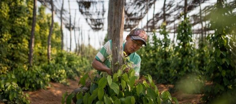 le commerce équitable