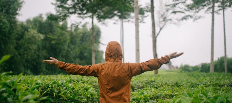 santé environnement