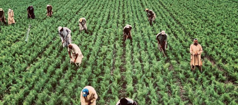 souveraineté alimentaire