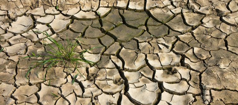 insécurité alimentaire