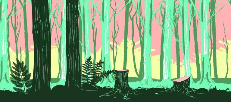 forêts