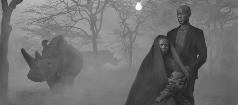 bandeau photo qui fait tilt