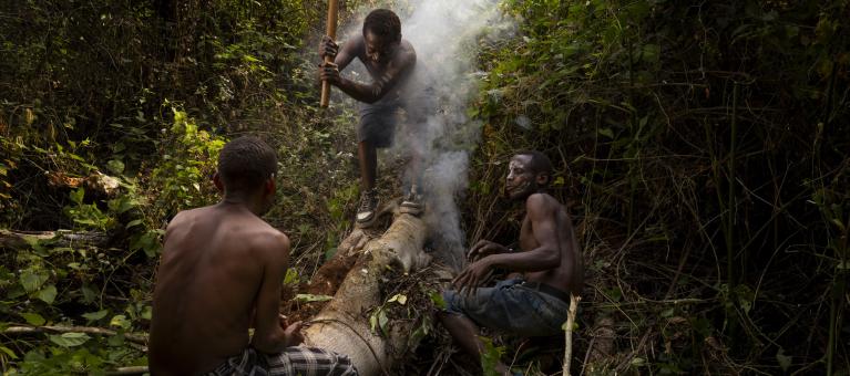 environnement 